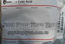 Vitamin B9 (FoLic Acid)